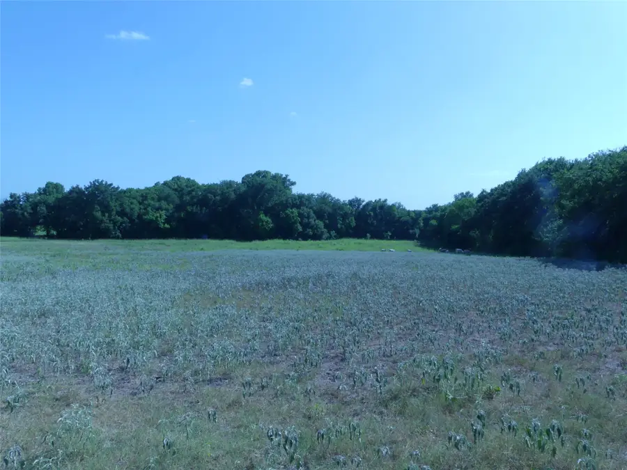 1691 W Alamo Road, Bowie, TX 76230 - #3