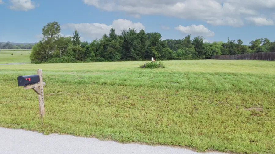 234 8641, Canton, TX 75103 - #2