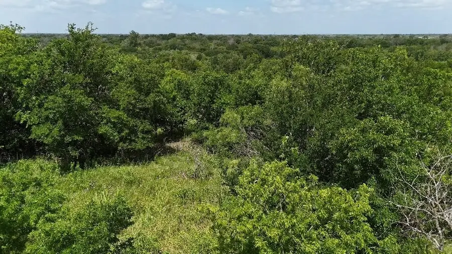 0 (off) Hcr 3255, Mount Calm, TX 76673 - #2