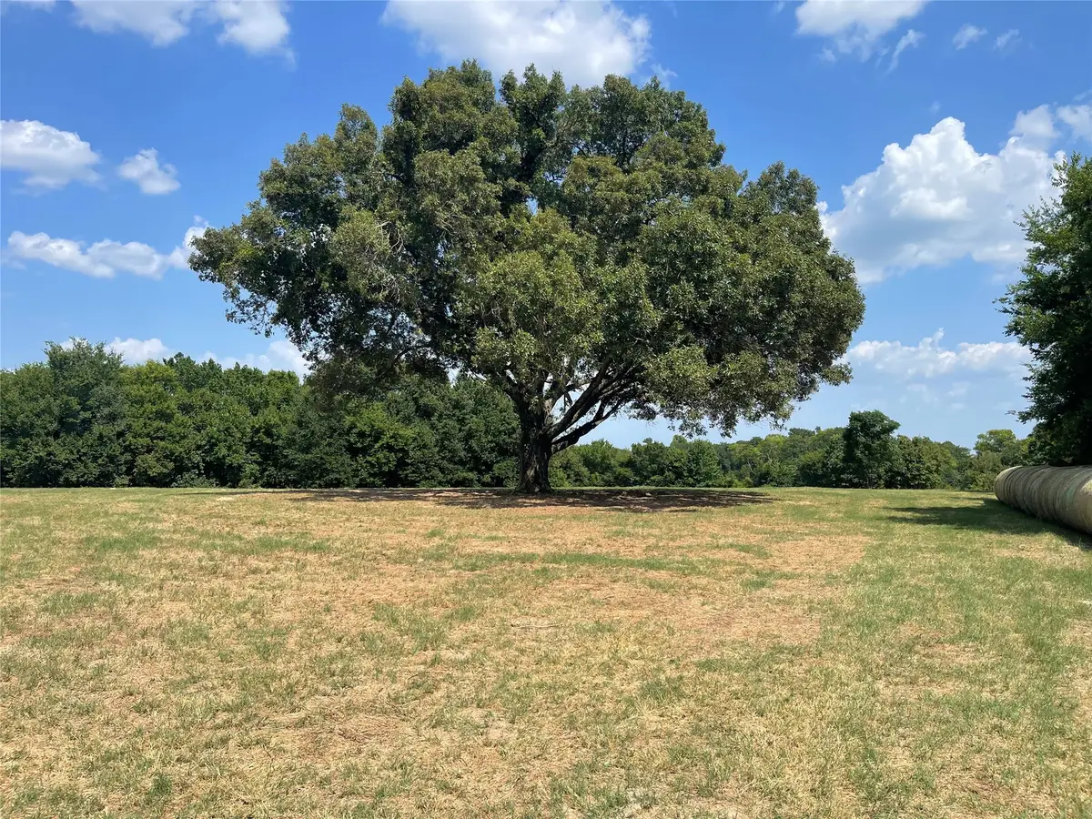 TBD Vz County Road 2316, Canton, TX 75103 - #1