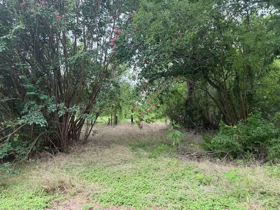 612 S Criswell Street, Mart, TX 76664 - #3