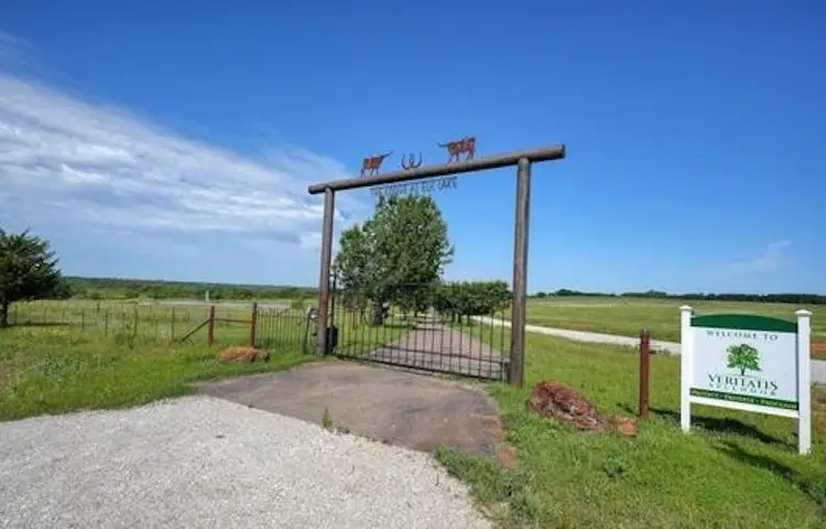 16604 Caeli Heights Court, Winona, TX 75792 - #2