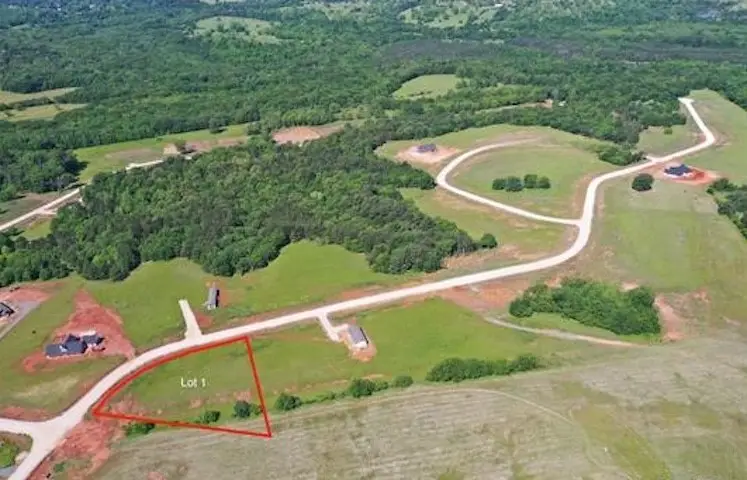 16604 Caeli Heights Court, Winona, TX 75792 - #3