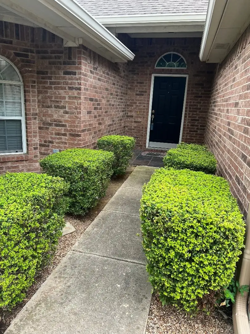 8501 Blacktail Trail, McKinney, TX 75070 - #3