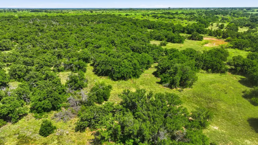 424 County Road 581, Cisco, TX 76437 - #3