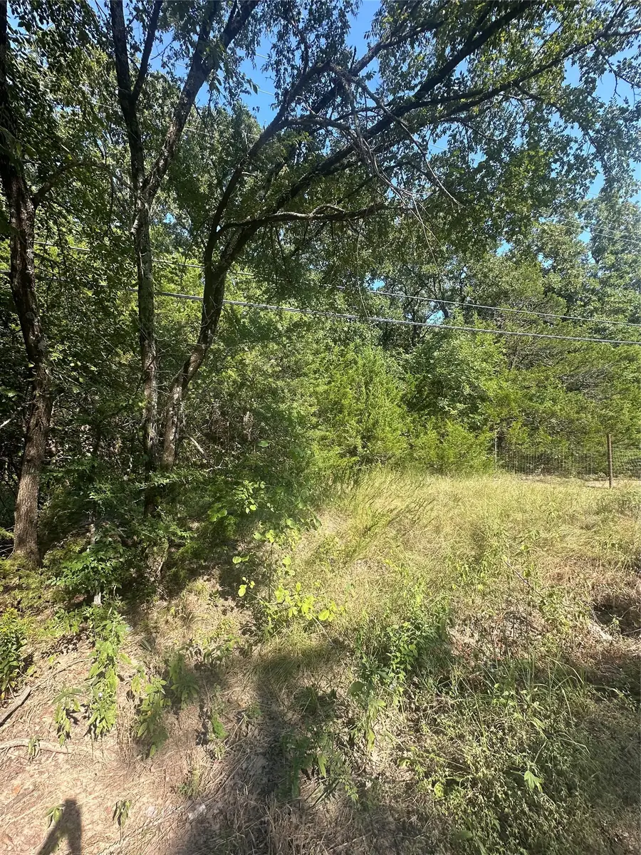 Lots 106-109 Private Rd 3837, Quinlan, TX 75474 - #2