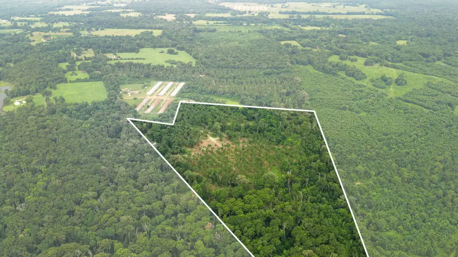1609 County Road 3224, Center, TX 75935 - #3