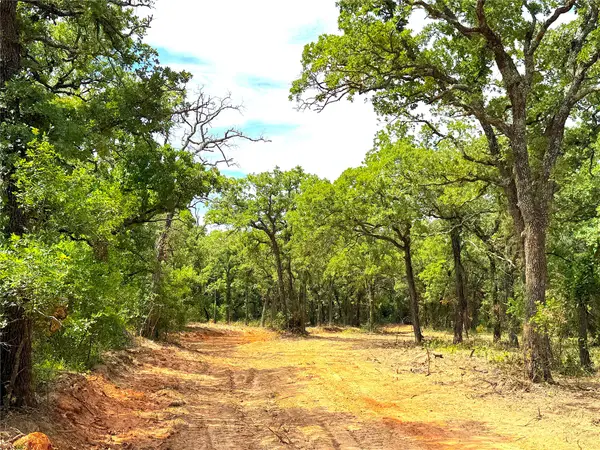 TBD Turpin Lake Road, Poolville, TX 76487