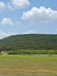 185 Beddo Bluff Court, Santo, TX 76472 - #1