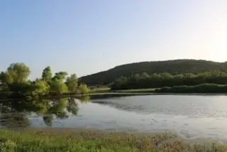 185 Beddo Bluff Court, Santo, TX 76472 - #3
