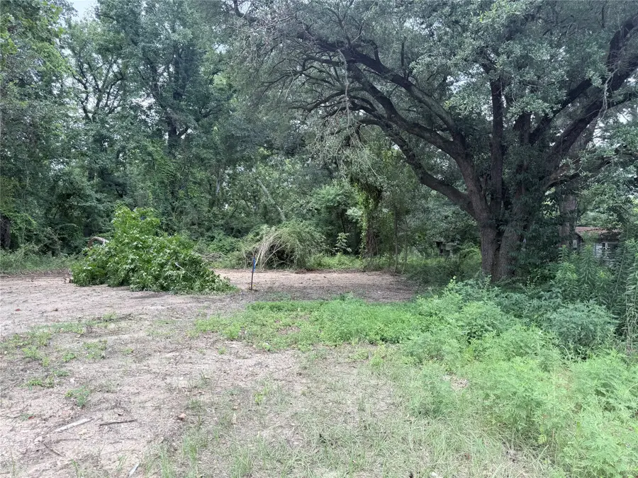 601 W Marshall Street, Minden, LA 71055 - #3