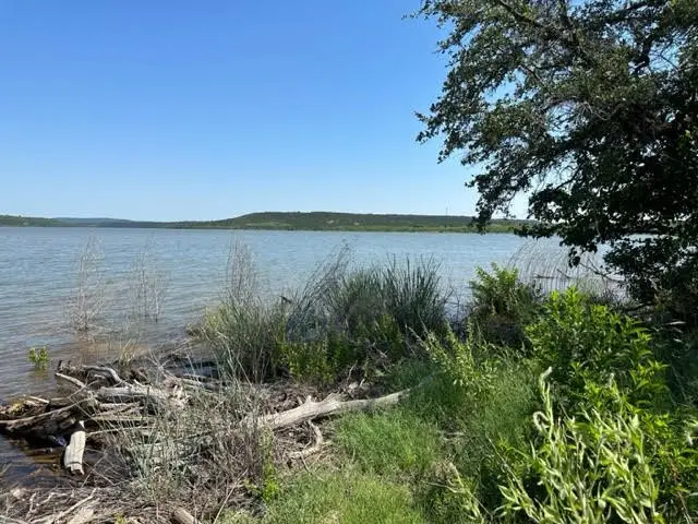 800 S Clear Cove Court, Graford, TX 76449 - #3