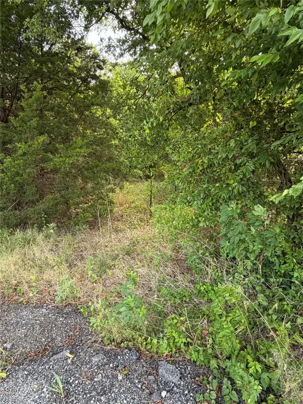 11601 County Road 103, Grandview, TX 76050
