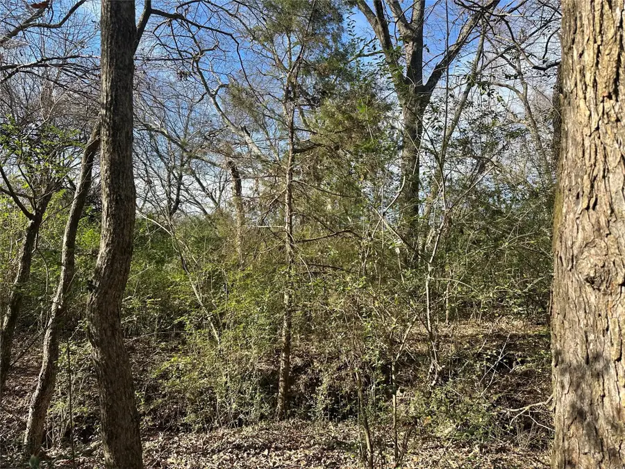 0000 County Road 2324, Como, TX 75431 - #3