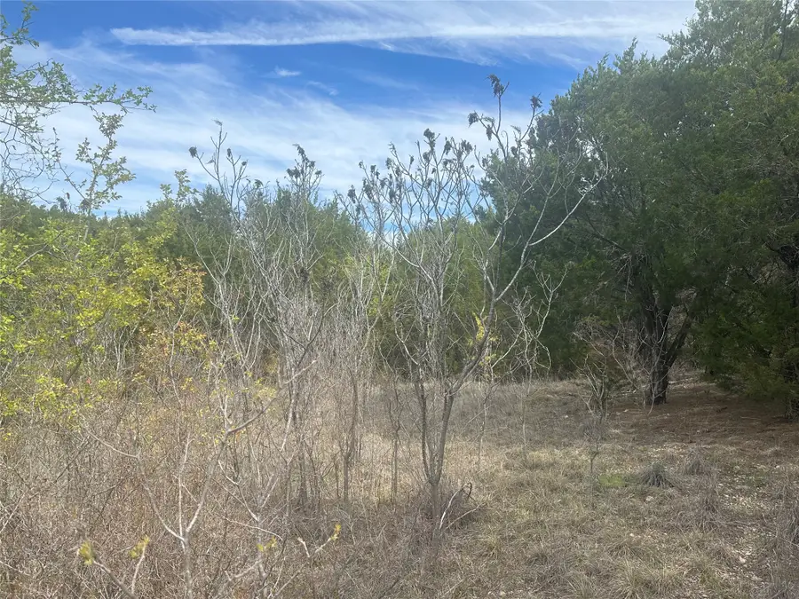 1241 Balcones Lane, Graford, TX 76449 - #3