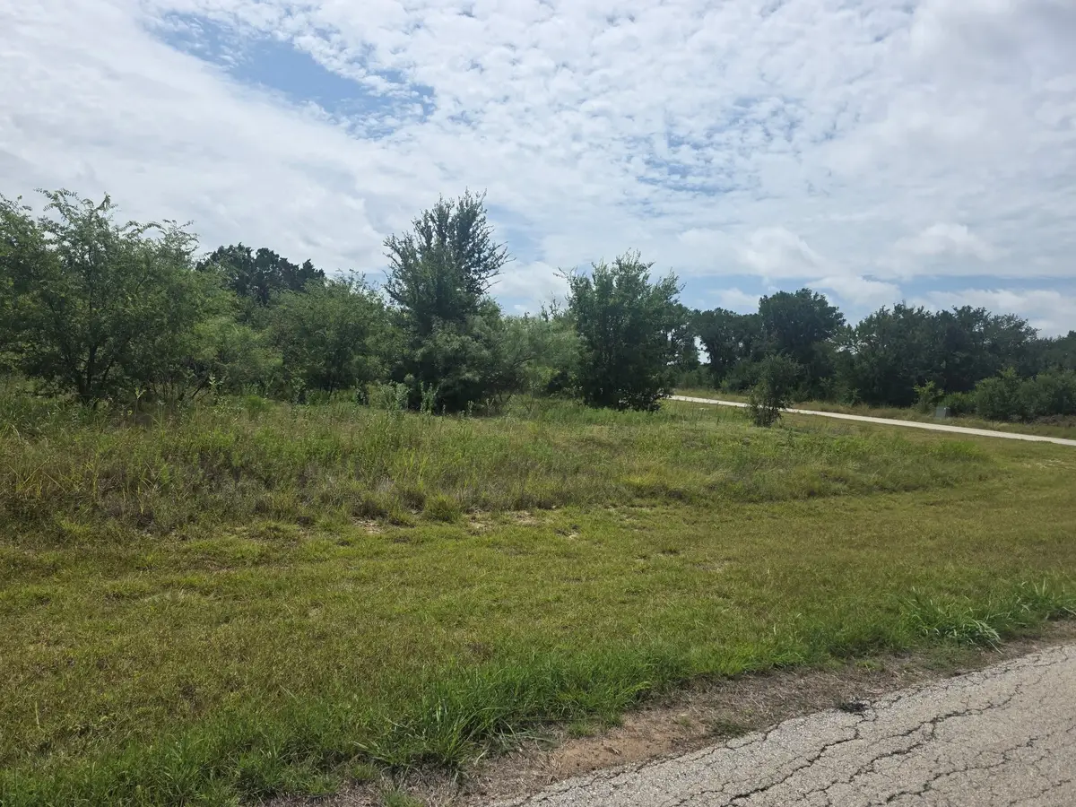 100 Turtle Dove Lane, Graford, TX 76449 - #1