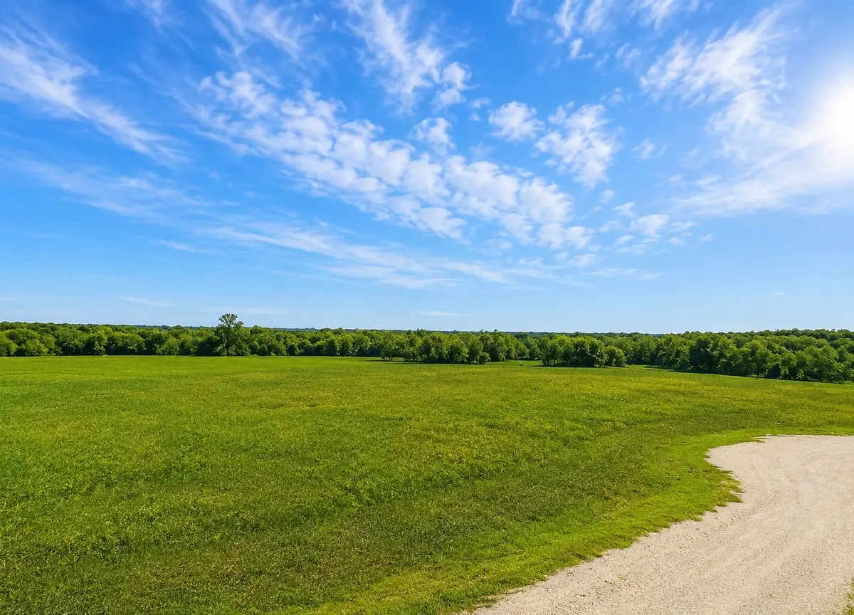 Lot 80 Fm 904 S, Pecan Gap, TX 75469 - #1