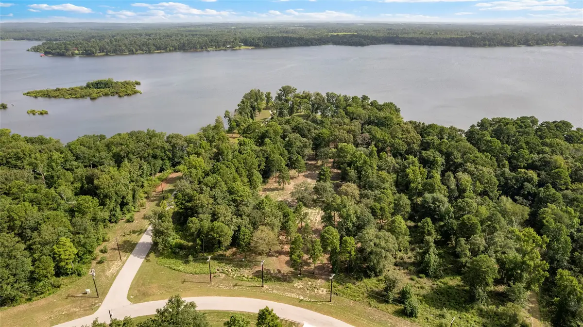 3168 Shadow Pine Drive, Larue, TX 75770 - #1