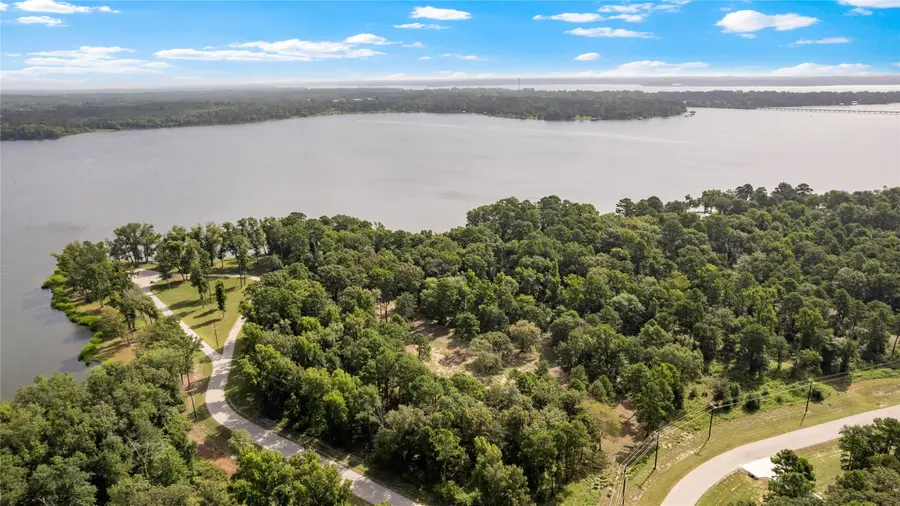 3168 Shadow Pine Drive, Larue, TX 75770 - #3