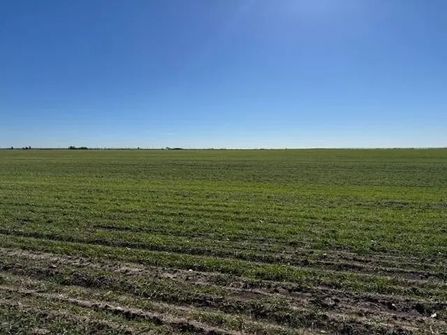 TBD Mesquite Ln, Abilene, TX 79601 - #2