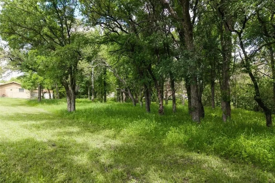 104 Turtle Creek Drive, Early, TX 76802 - #3