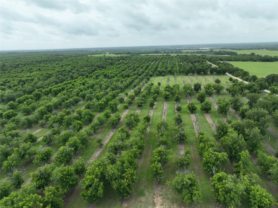 TBD Cr 424, Comanche, TX 76442 - #2
