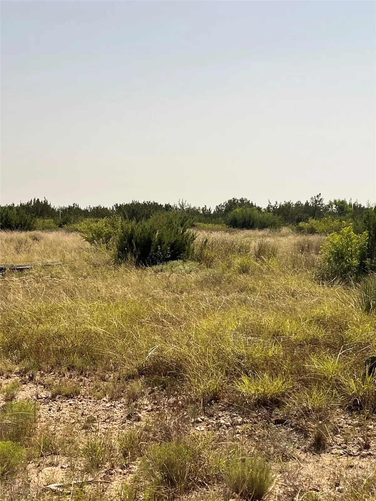 21009 Frank Road, Paint Rock, TX 76866 - #1