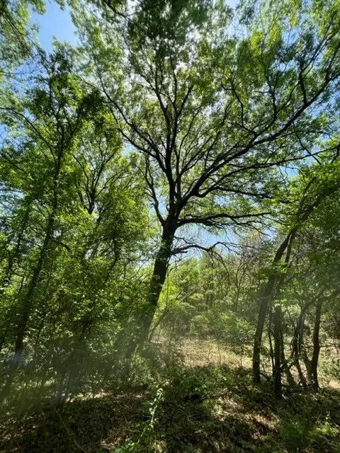 159 Bee Creek School House, Grandview, TX 76050 - #2