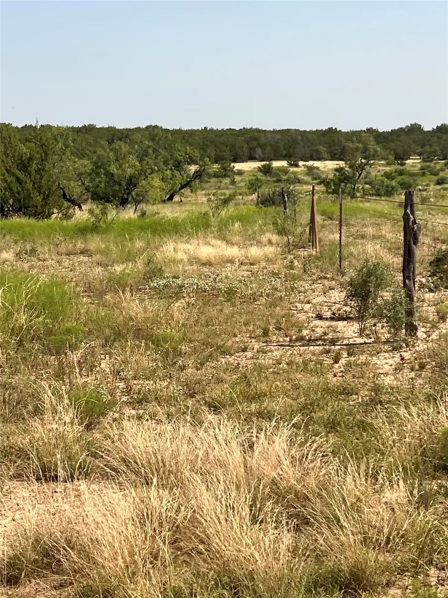 TBD Fm 1929, Paint Rock, TX 76866 - #3