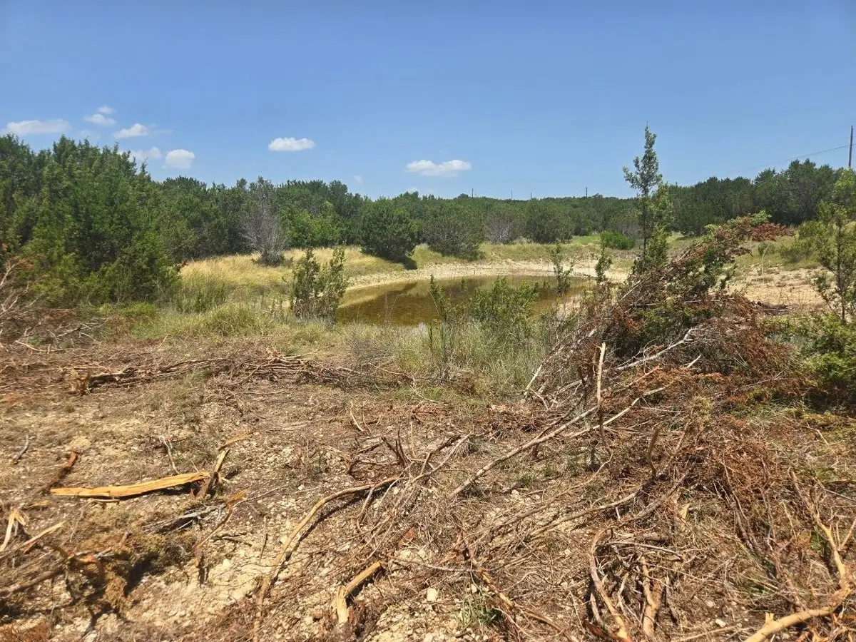 TBD Lighthouse Drive, Bluff Dale, TX 76433 - #1