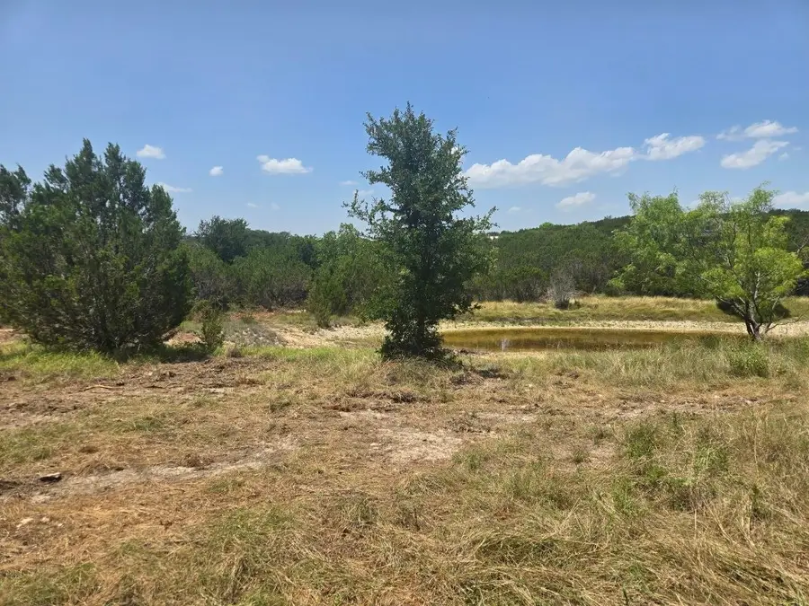 TBD Lighthouse Drive, Bluff Dale, TX 76433 - #2