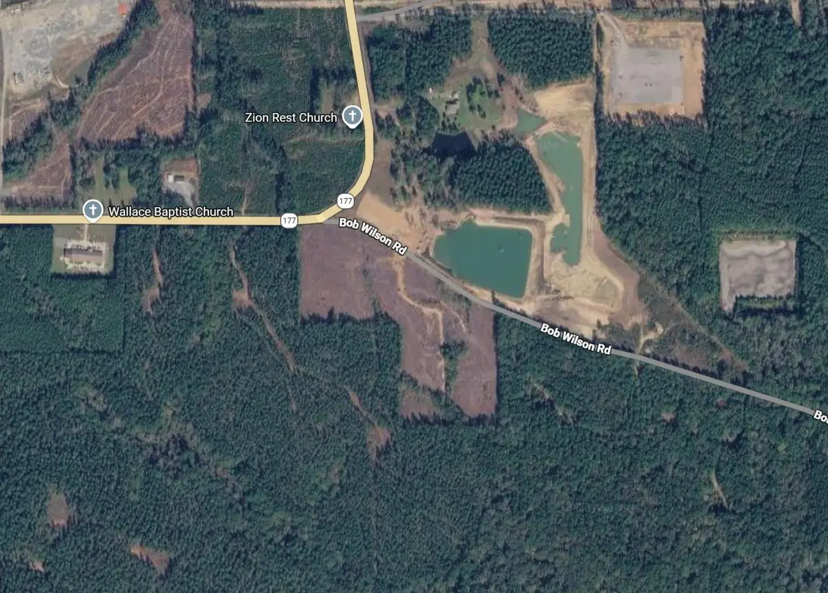0 Bob Wilson Road, Pelican, LA 71063 - #1