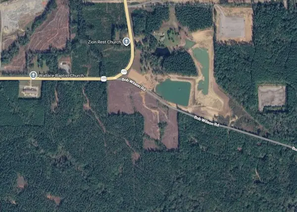 0 Bob Wilson Road, Pelican, LA 71063