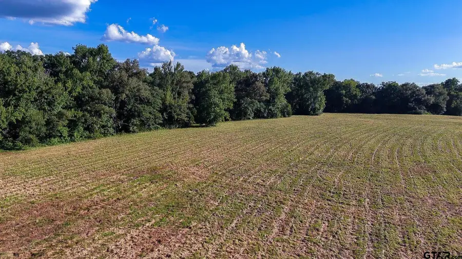 TBD E Highway 11, Winnsboro, TX 75494 - #3