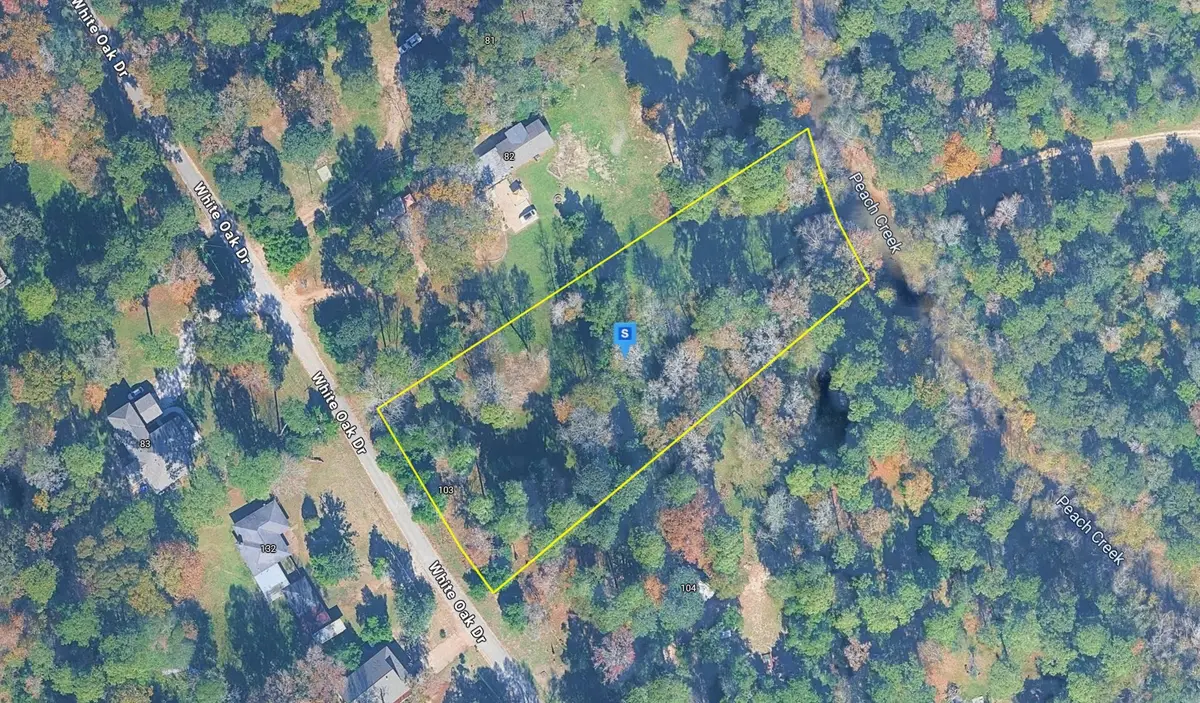 103 White Oak Drive, New Caney, TX 77357 - #1