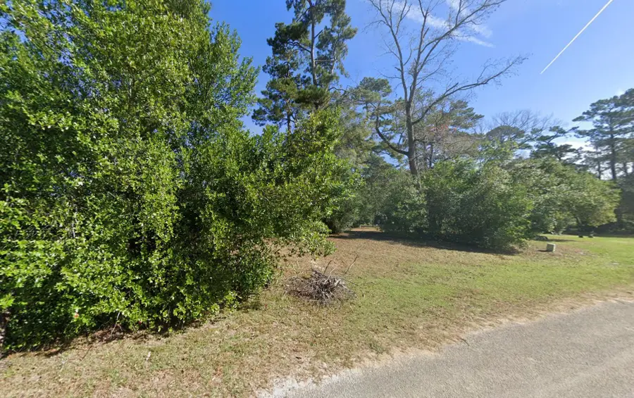 103 White Oak Drive, New Caney, TX 77357 - #2