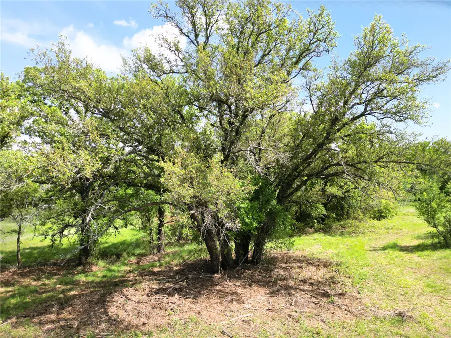 569 Fm, Cisco, TX 76437 - #2