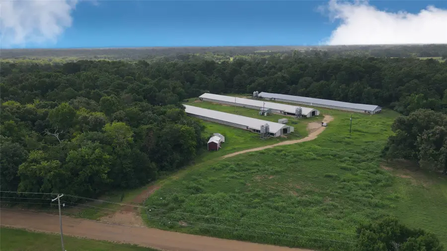 TBD County Road 4114, Pittsburg, TX 75686 - #2