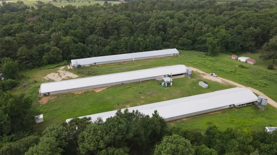 TBD County Road 4114, Pittsburg, TX 75686 - #3