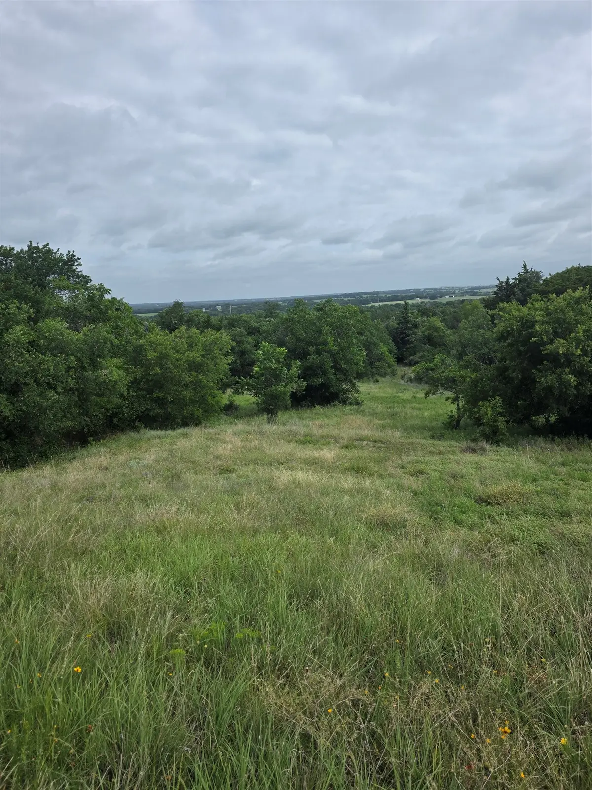TBD Derting Road, Aurora, TX 76078 - #1