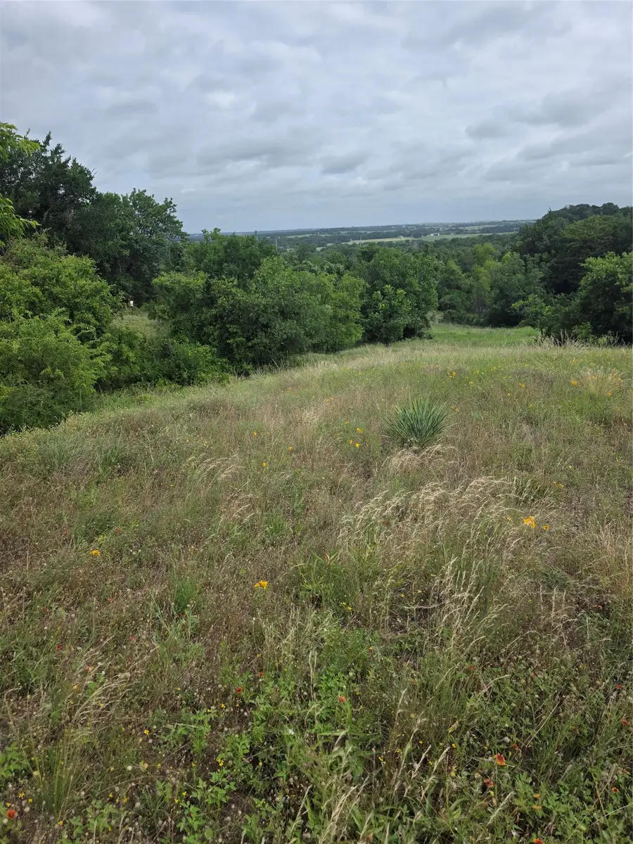 TBD Derting Road, Aurora, TX 76078 - #3
