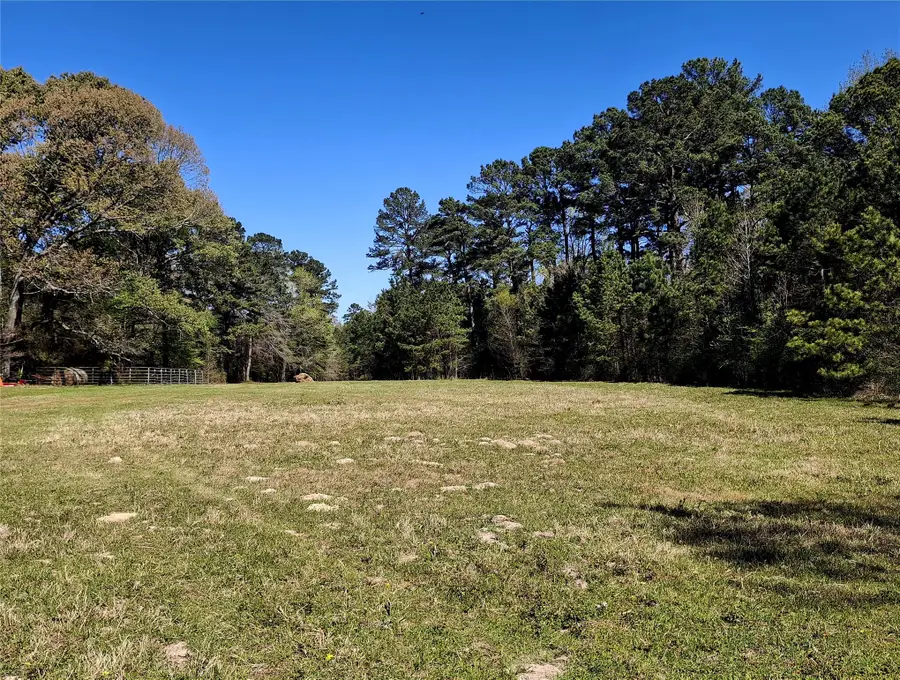 435 Fm 2064 N, Jacksonville, TX 75766 - #2