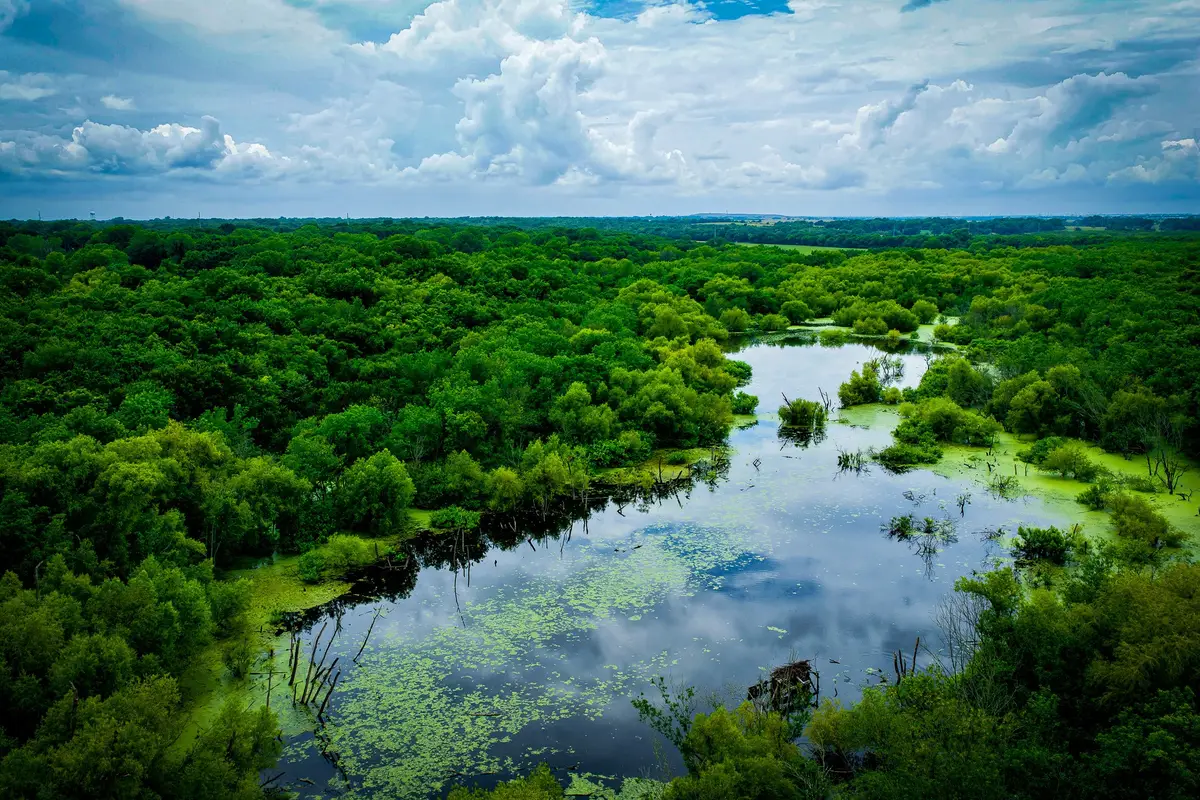 775 Ten Mile, Ellis, TX 75125 - #1