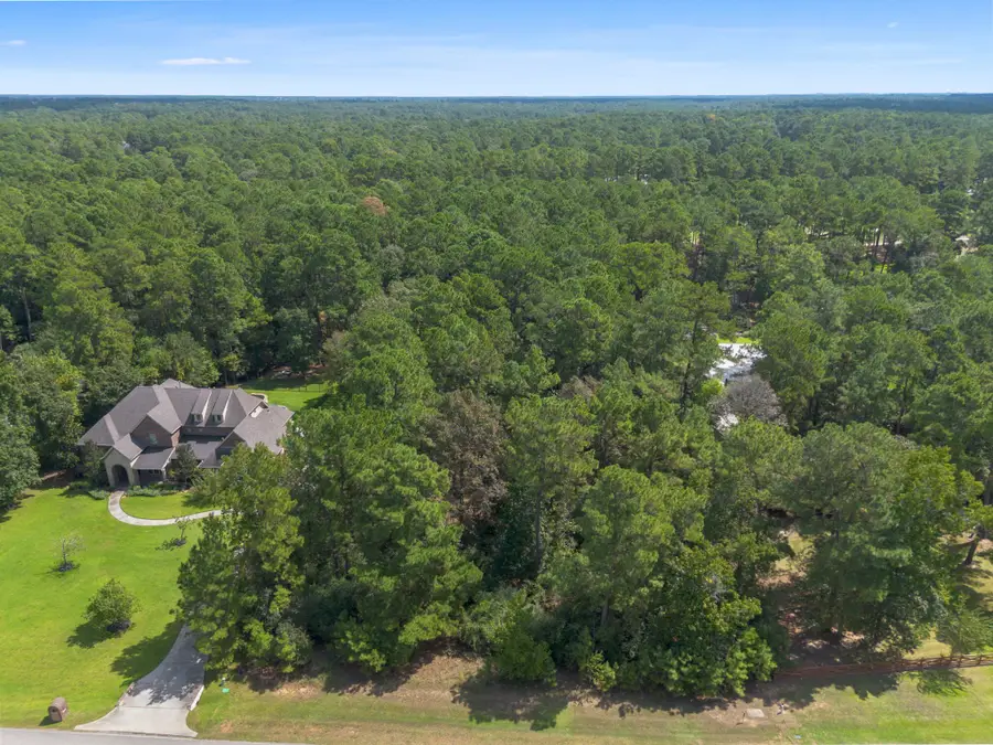 37432 Club House Lane, Magnolia, TX 77355 - #2