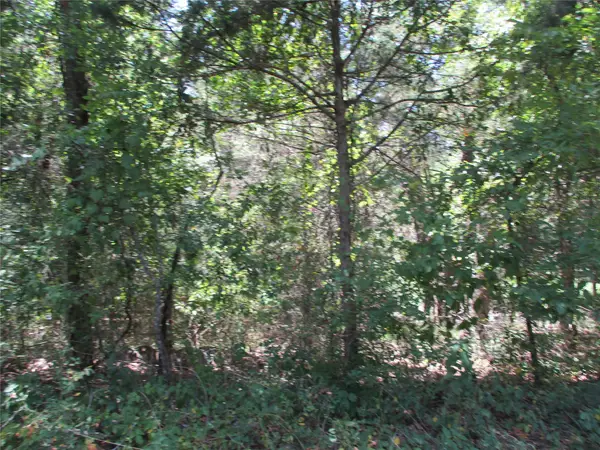 517 Rains County Road 1275, Emory, TX 75440