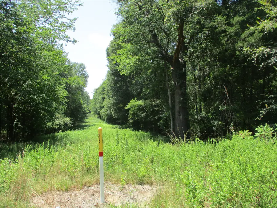 517 Rains County Road 1275, Emory, TX 75440 - #2