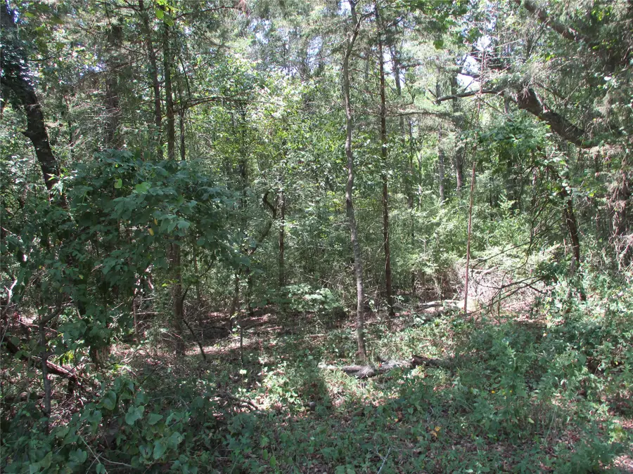 517 Rains County Road 1275, Emory, TX 75440 - #3