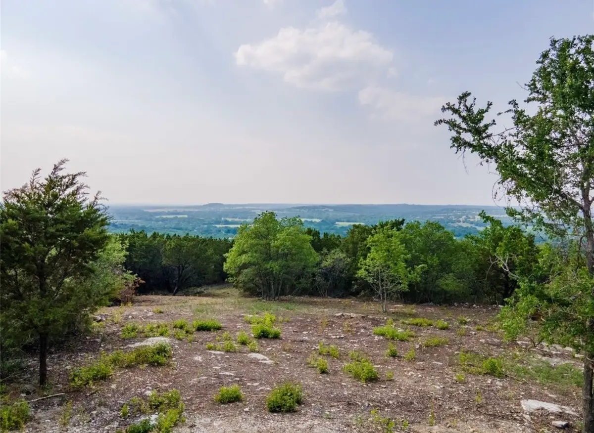 425 Bluff View Court, Bluff Dale, TX 76433 - #1