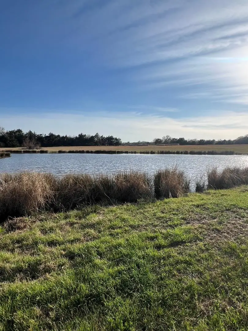 TBD County Road 3501, Wills Point, TX 75169 - #3