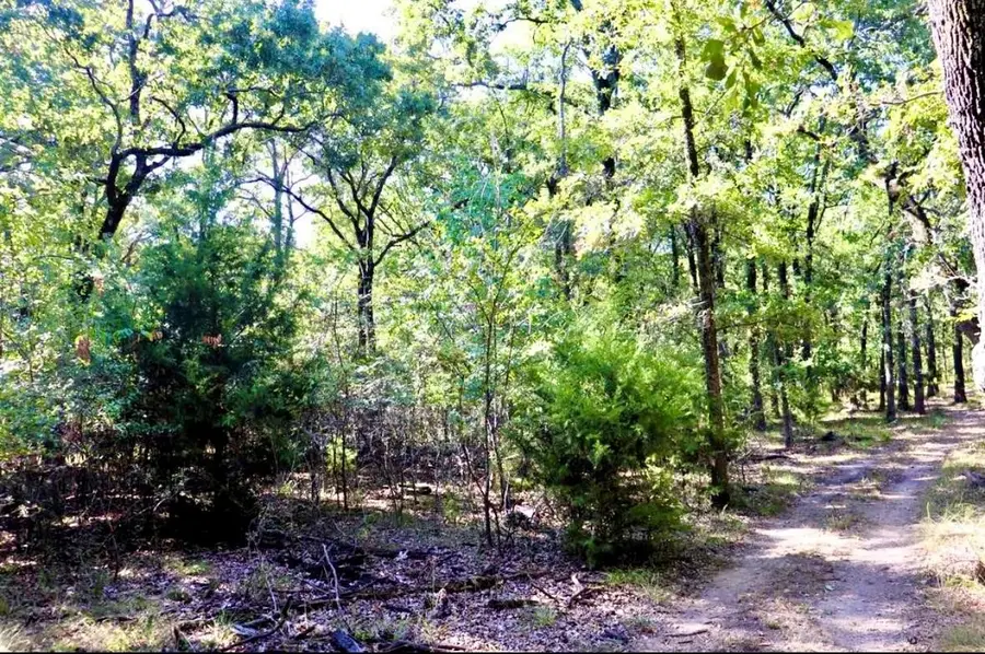 801 Wood Duck Trace, Quinlan, TX 75474 - #3